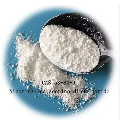 99% nicotinamide adenina dinucleotide NAD per casi anti-invecchiamento 53-84-9