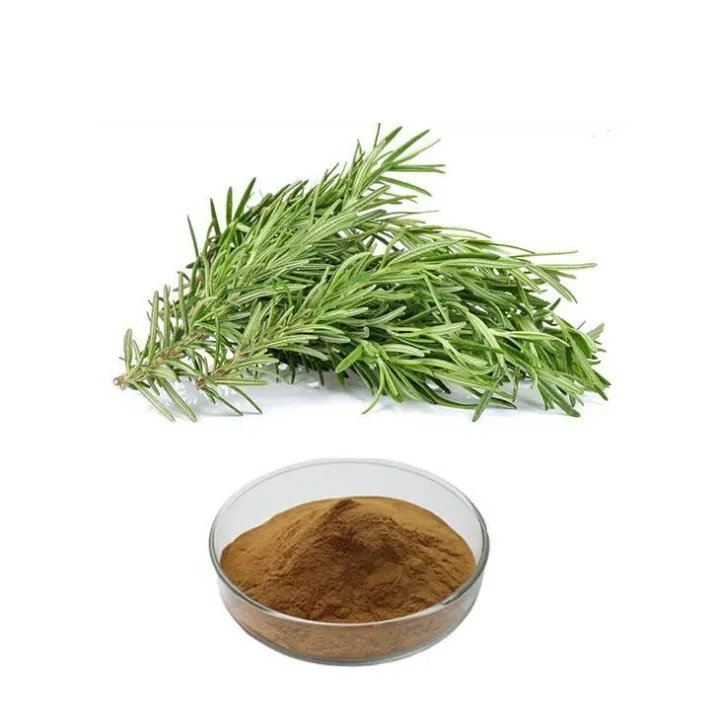 Polvere di acido carnosico di grado cosmetico CAS 3650-09-7