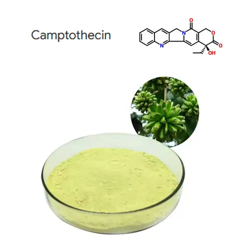 Ad alta purezza al 98% estratto di pianta camptothecina in polvere CAS 7689-03-4