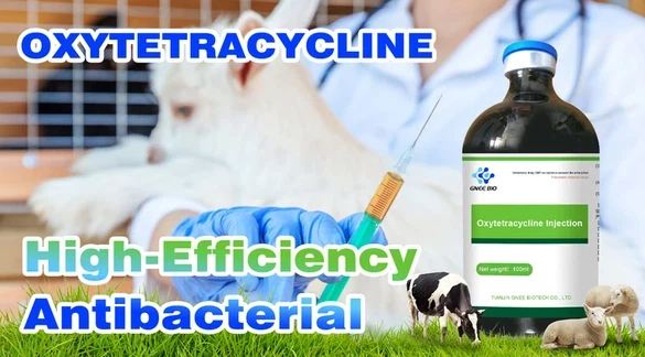 Oxytetracycline injection Oxytetracycline injection