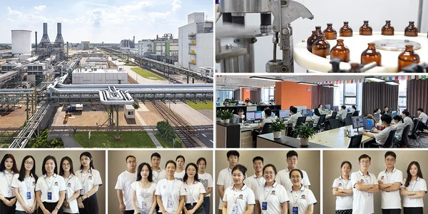 acetic acid solution acetic acid solution